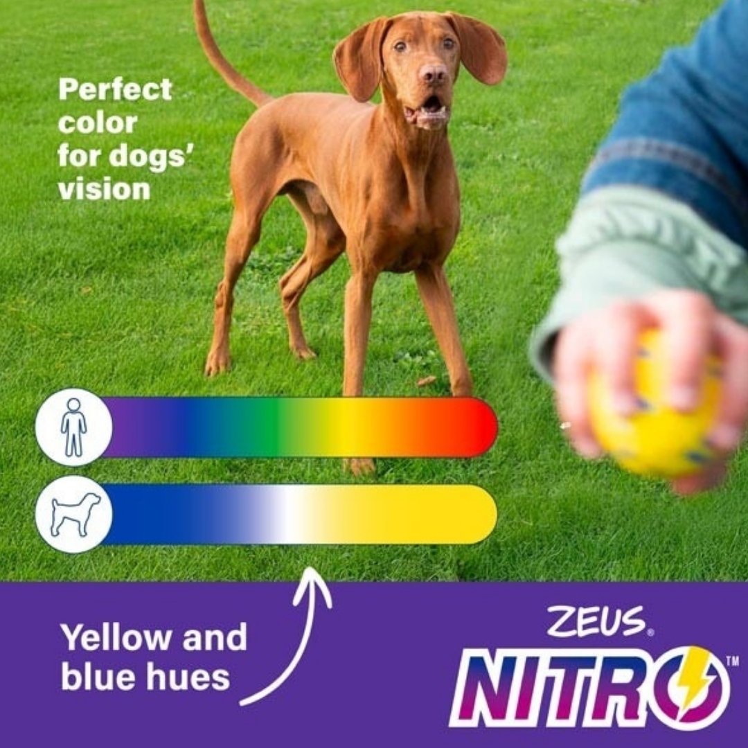 ZEUS DOG NITRO WEIGHTED SLINGER WITH ROPE 9.2CM image 4