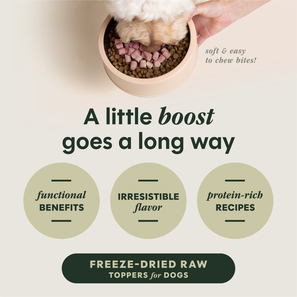 INSTINCT DOG FREEZE-DRIED RAW BOOST MIXERS 155G (5.5OZ) GRAIN-FREE SKIN & COAT DOG FOOD TOPPER image 9