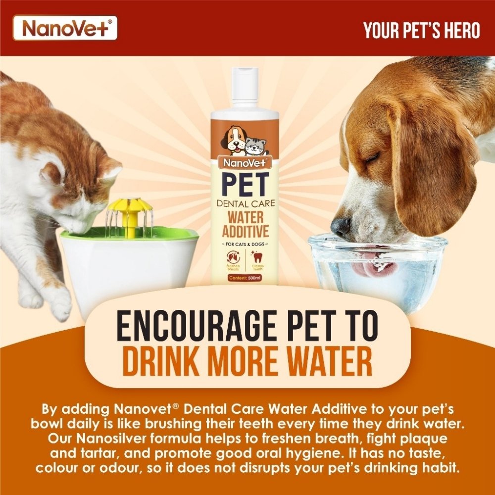 NANOVET DENTAL WATER ADDITIVE 500ML image 2