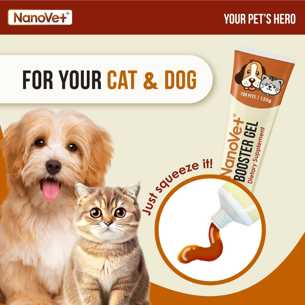 NANOVET BOOSTER GEL FOR PETS 125G image 5