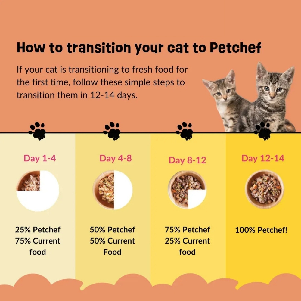 PETCHEF CAT 100G BEEF RECIPE COOKED CAT FOOD image 4
