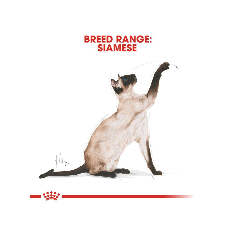 ROYAL CANIN SIAMESE ADULT 2KG DRY CAT FOOD image 5