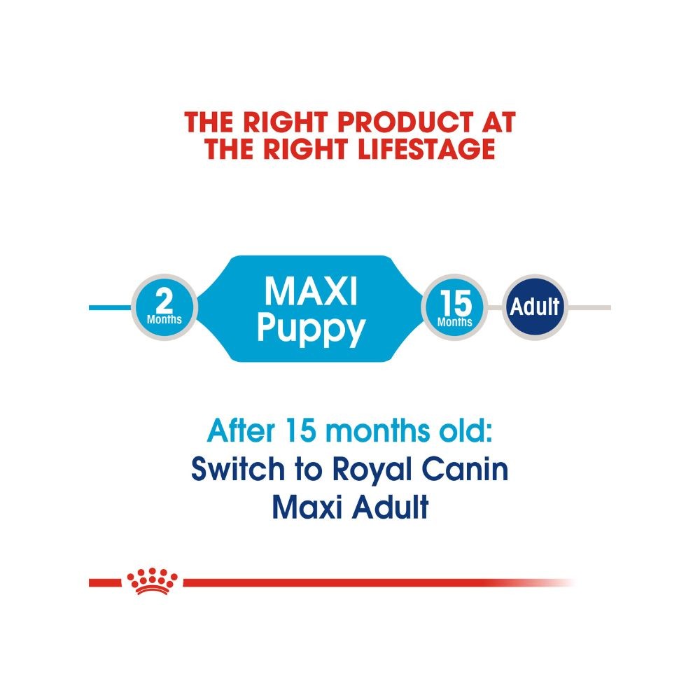 ROYAL CANIN MAXI PUPPY 4KG DRY DOG FOOD image 5