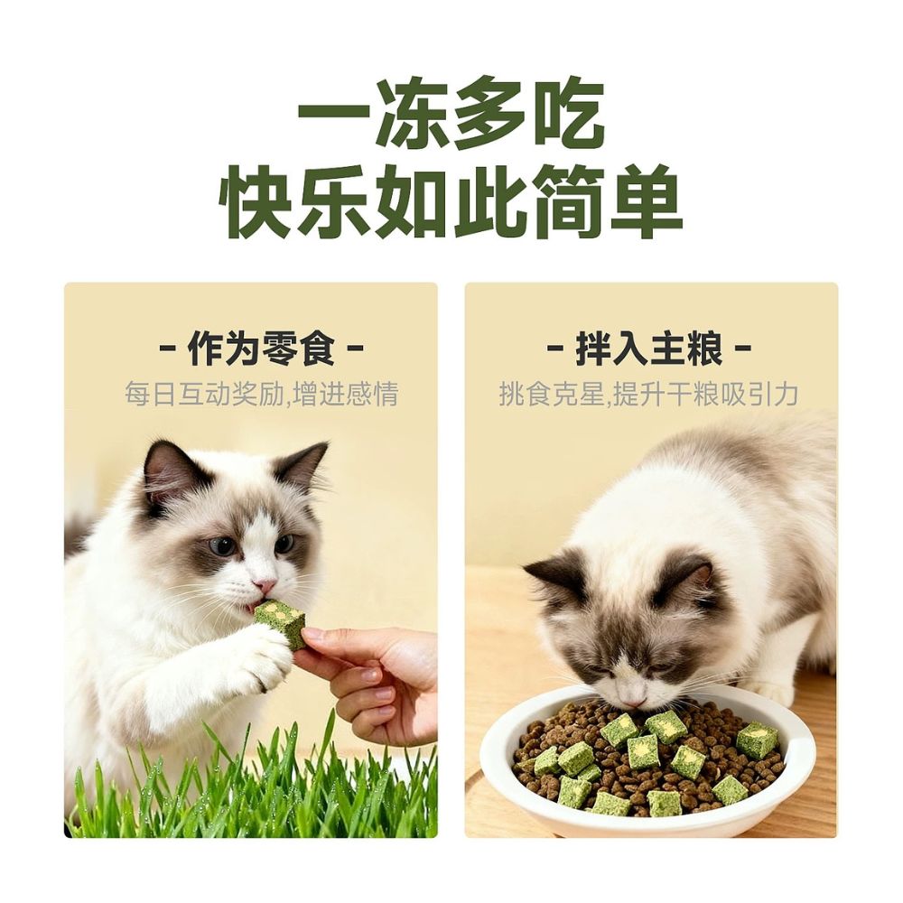 CUBE FRESHER FREEZE DRIED CAT TREAT CHICKEN & CATNIP 450G image 4