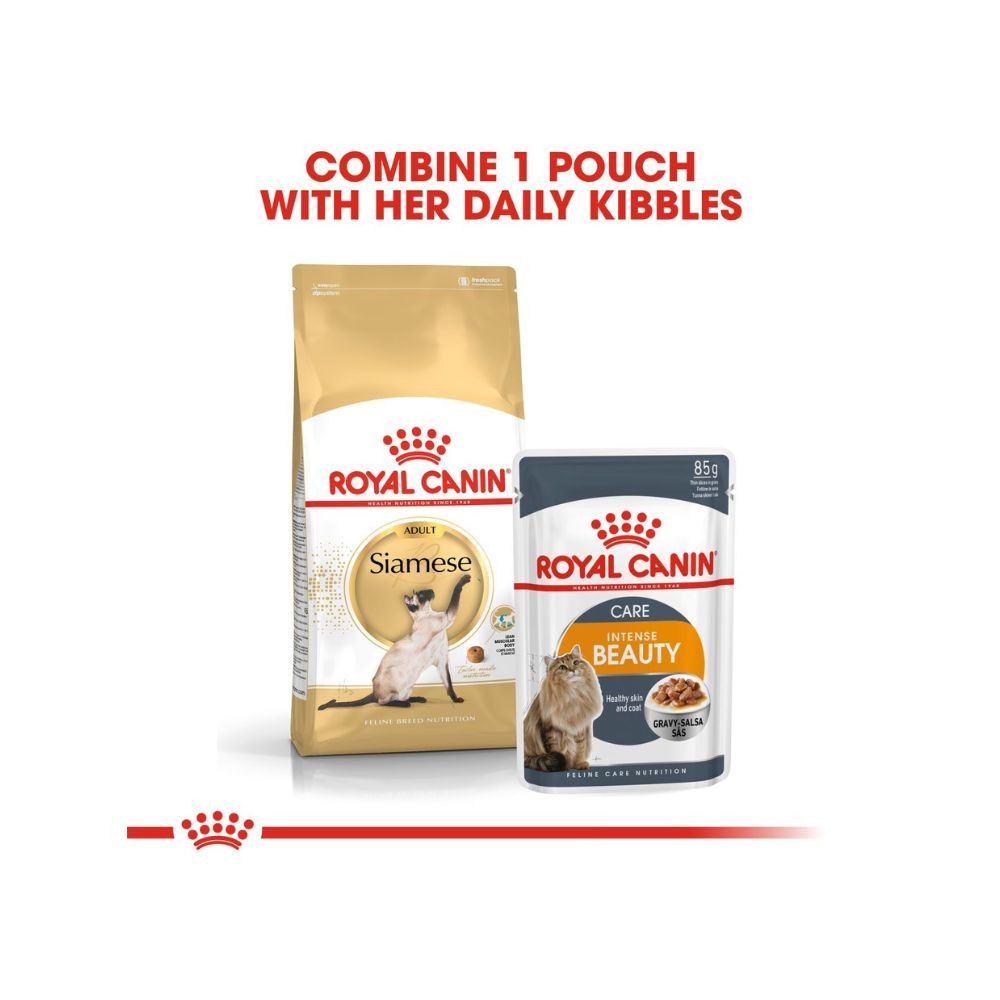 ROYAL CANIN SIAMESE ADULT 2KG DRY CAT FOOD image 8