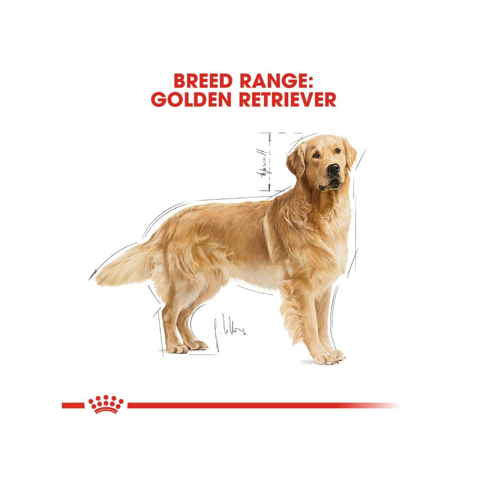 ROYAL CANIN GOLDEN RETRIEVER ADULT 12KG DRY DOG FOOD image 7