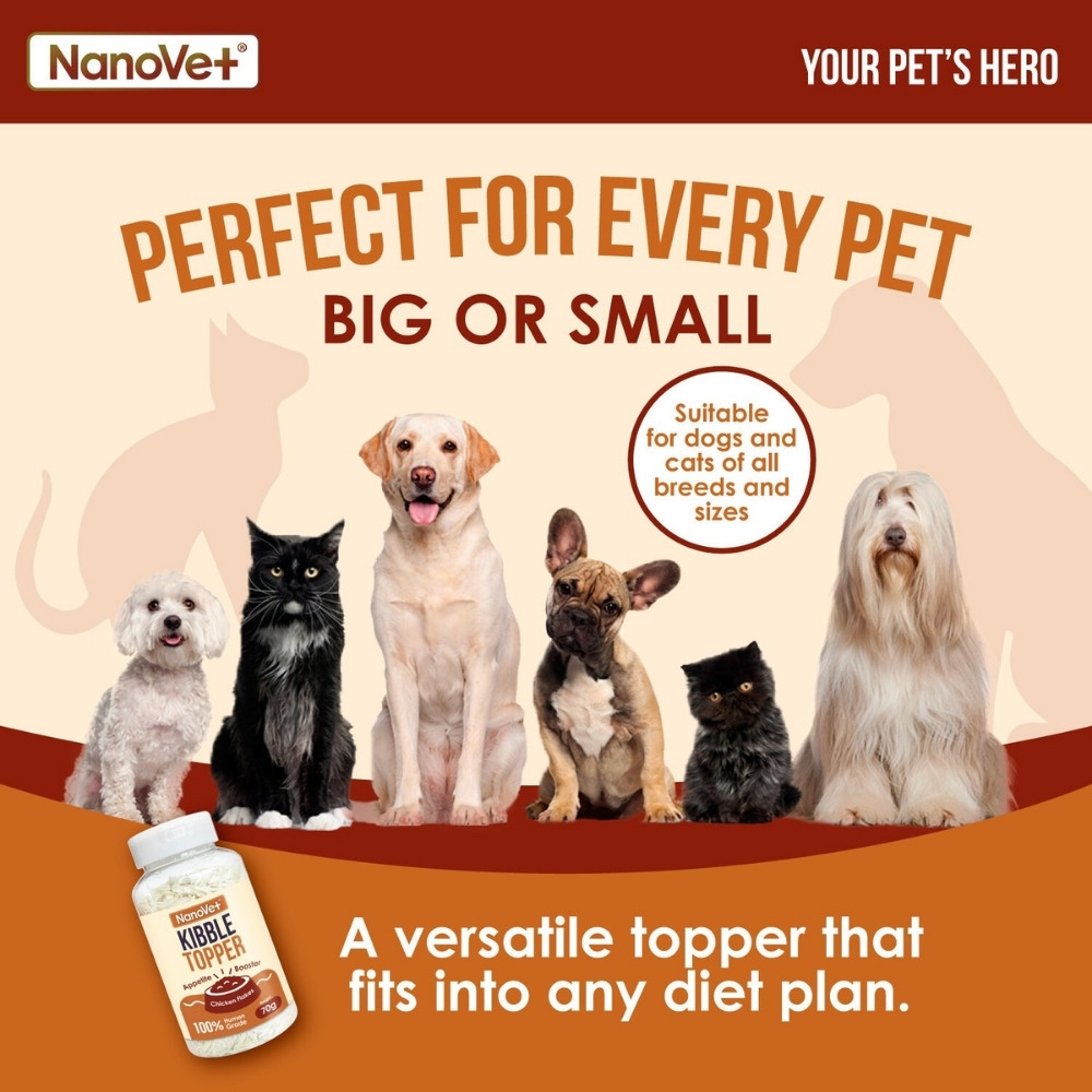 NANOVET KIBBLE TOPPER 70G image 5