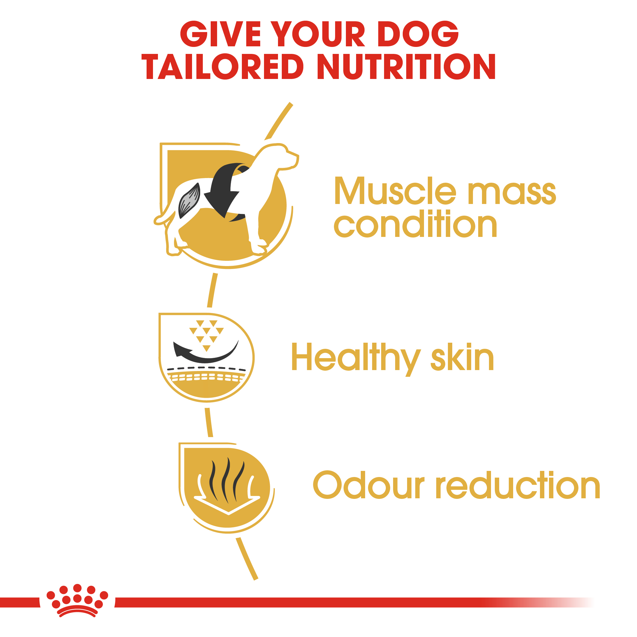 ROYAL CANIN FRENCH BULLDOG ADULT 3KG DRY DOG FOOD image 4