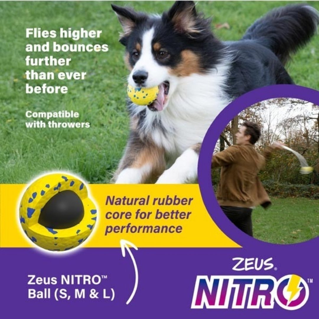 ZEUS DOG NITRO WEIGHTED BALL LARGE 7.6CM image 4