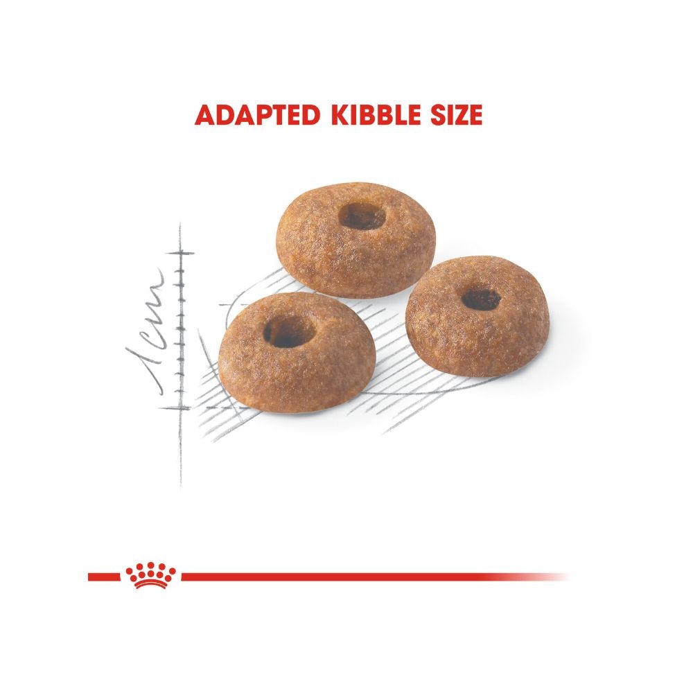 ROYAL CANIN FIT 32 10KG DRY CAT FOOD image 4
