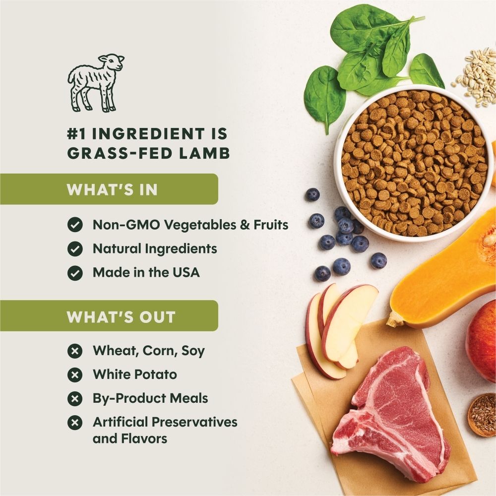 INSTINCT DOG BE NATURAL 10.8KG (24LB) REAL LAMB & OATMEAL RECIPE DRY DOG FOOD image 4