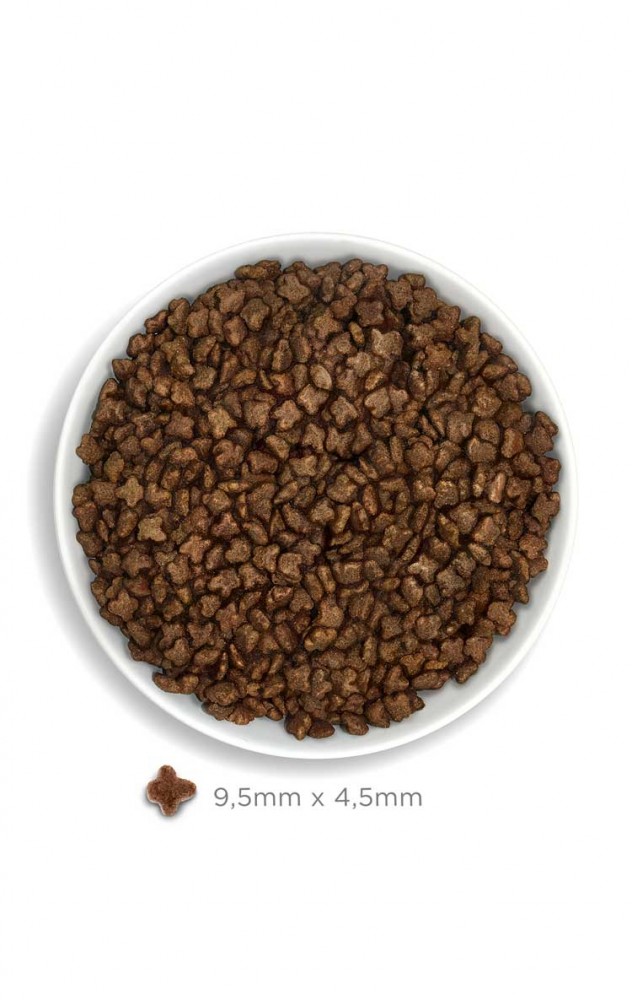 AMANOVA CAT 4KG KITTEN EXQUISITE CHICKEN LOW GRAIN DRY CAT FOOD image 3