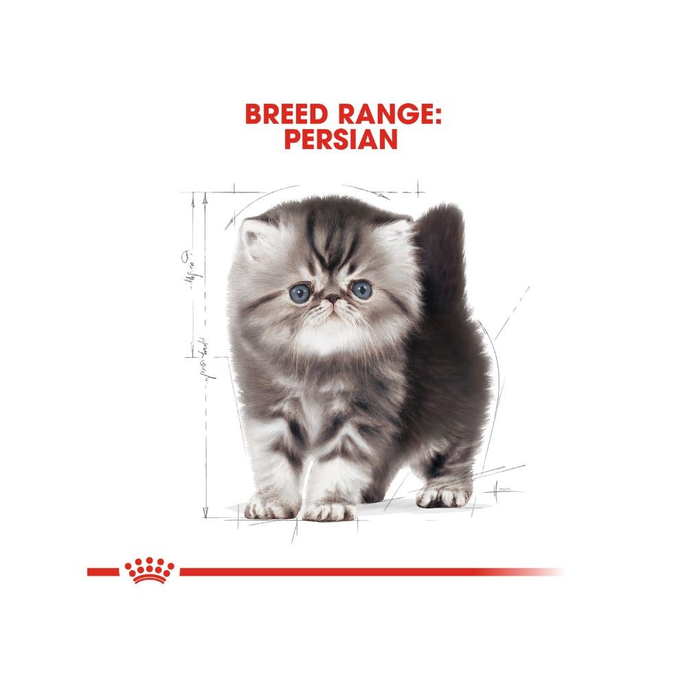 ROYAL CANIN PERSIAN KITTEN 10KG DRY CAT FOOD image 5