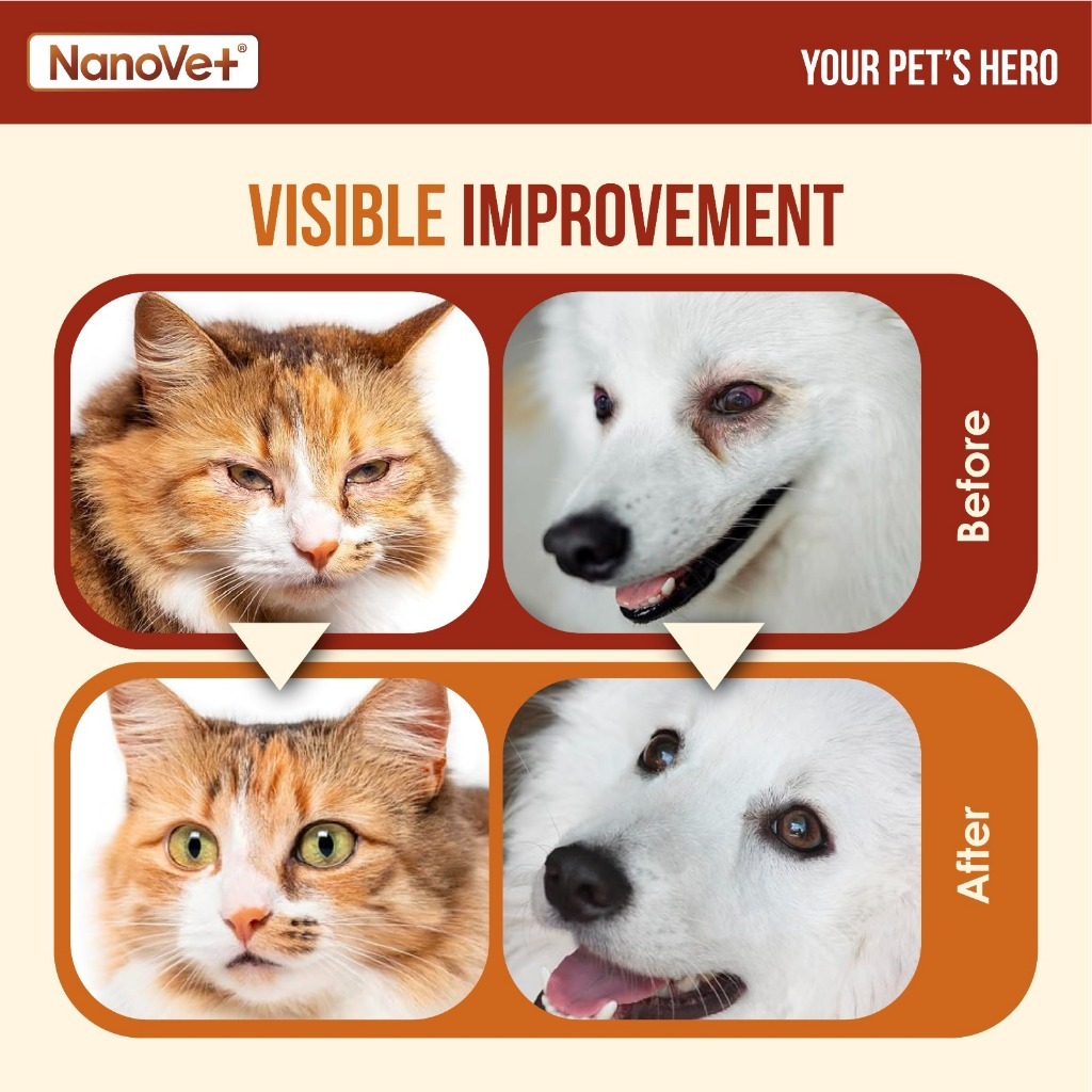 NANOVET EYE + STAIN SOLUTION KIT image 2