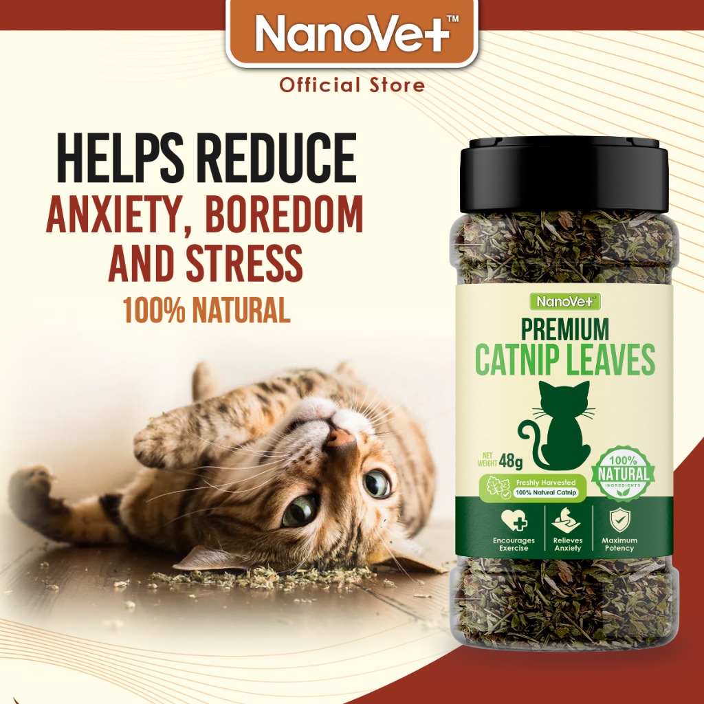 NANOVET CATNIP LEAVES 48G image 2