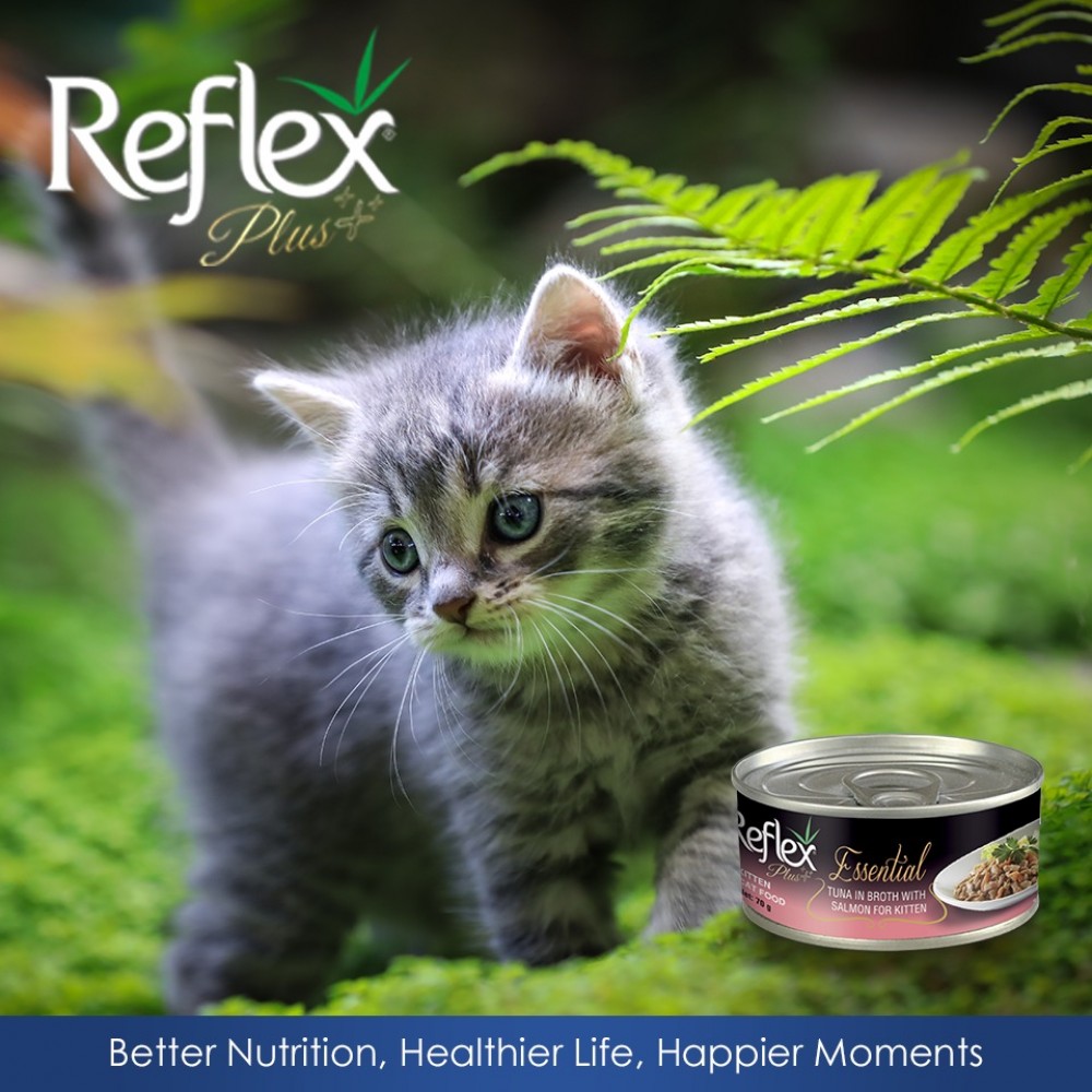 REFLEX PLUS ESSENTIAL TUNA IN BROTH WITH SALMON FOR KITTEN 70G WET CAT FOOD image 2