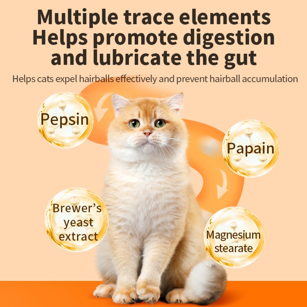 PUAINTA HAIRBALL RELIEF TABLET 0.25GX200TABLETS image 4