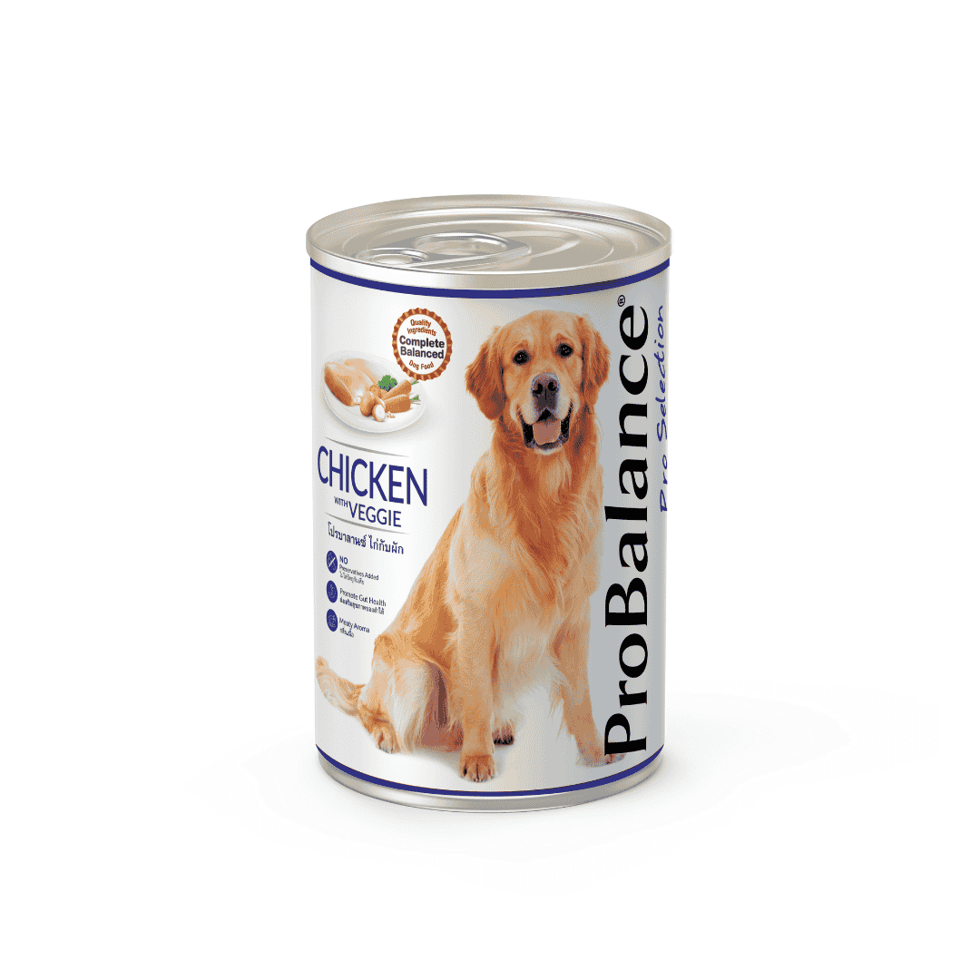 PROBALANCE 400G WITH VEGGIE WET DOG FOOD image 3