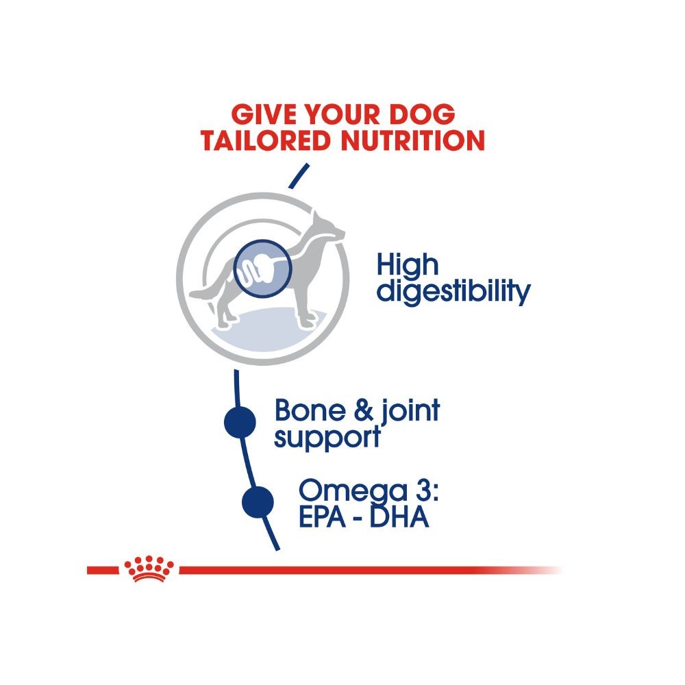 ROYAL CANIN MAXI ADULT 4KG DRY DOG FOOD image 2