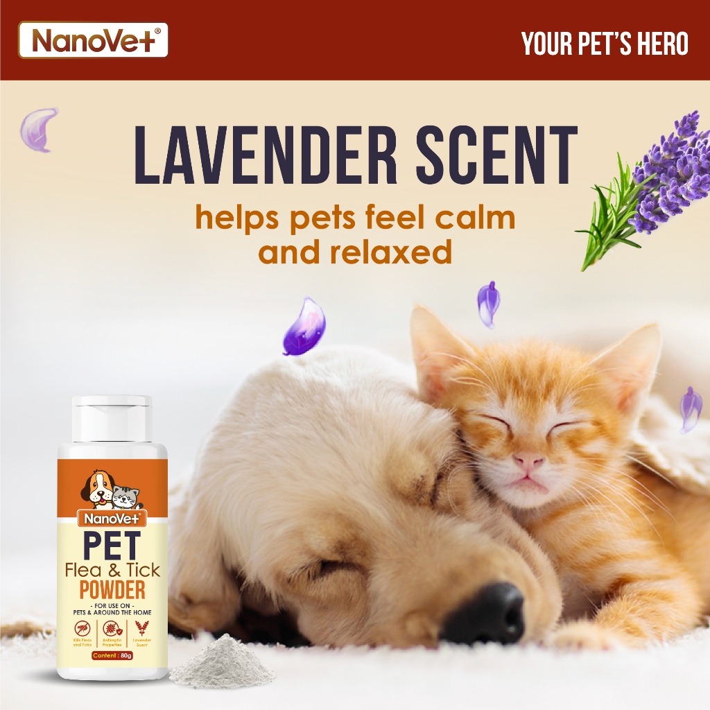NANOVET FLEA & TICK POWDER 80G image 4