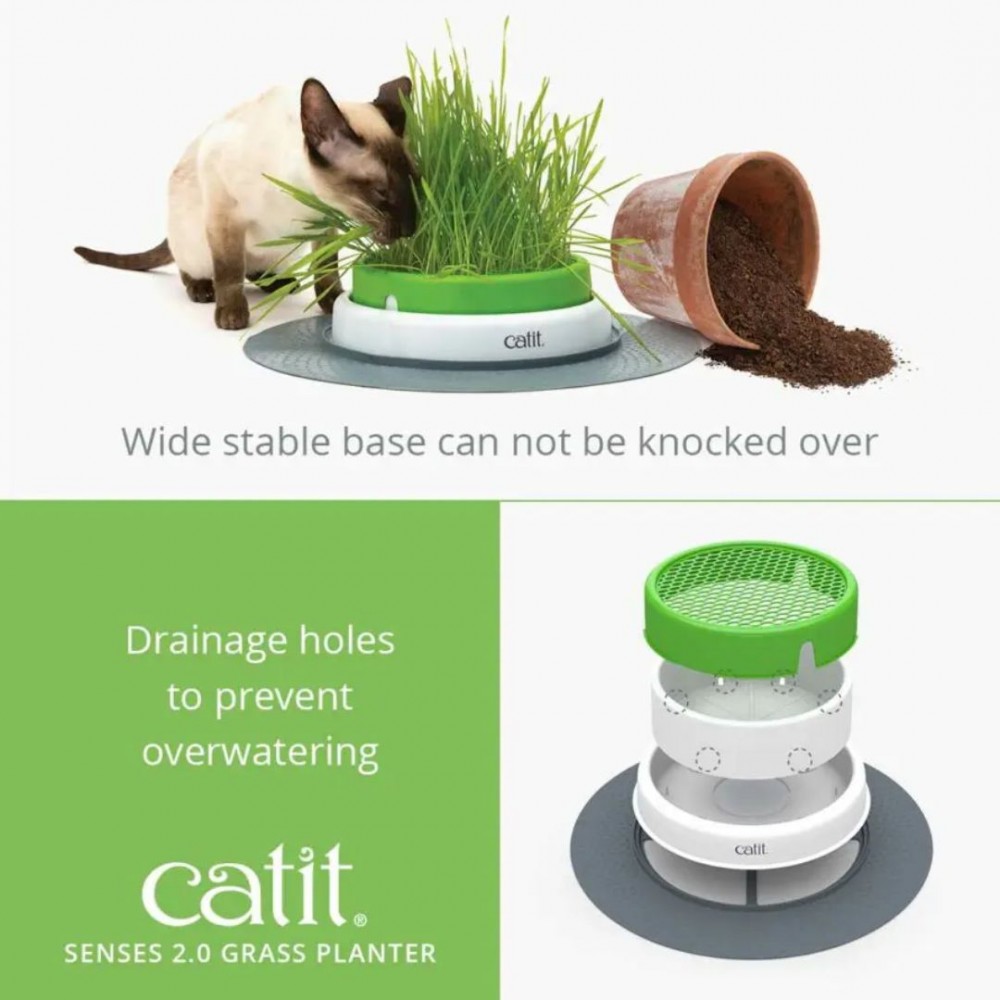 CATIT SENSES 2.0 GRASS PLANTER (INCLUDE SEED & VERMICULITE) image 2
