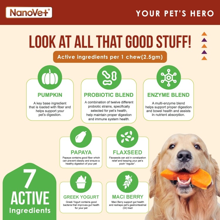 NANOVET PROBIOTIC CHEWS 120PCS image 6