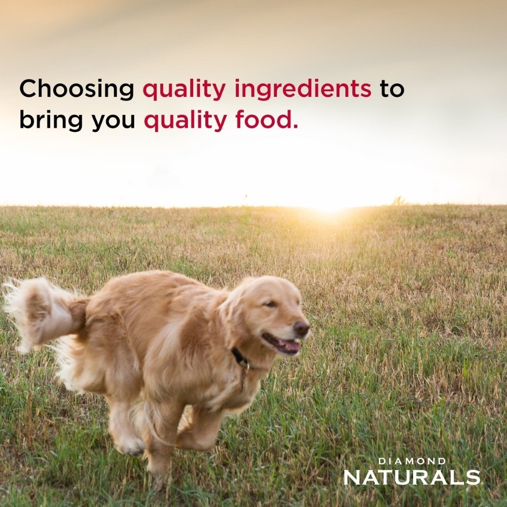DIAMOND NATURALS DOG HOLISTIC 2KG CHICKEN SMALL BREED DRY DOG FOOD image 2