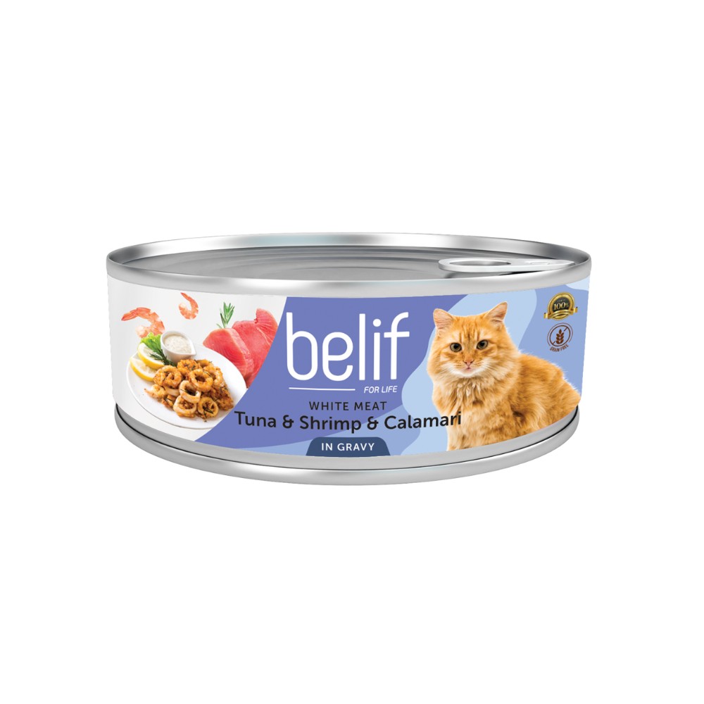 BELIF CAT 80G WET CAT FOOD IN GRAVY image 3