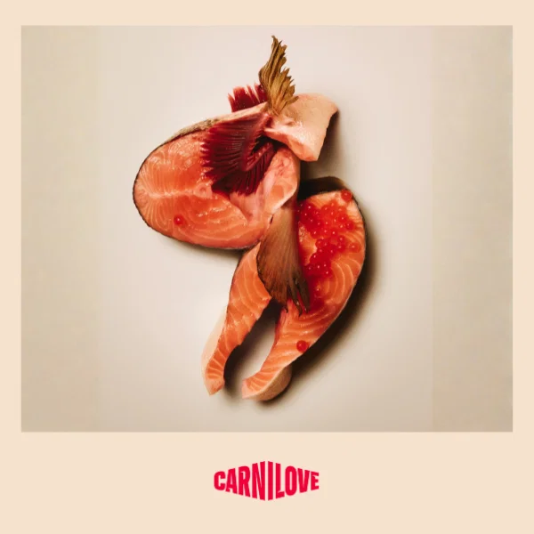 CARNILOVE DOG 4KG SALMON & TURKEY ADULT SMALL BREED DRY DOG FOOD image 6