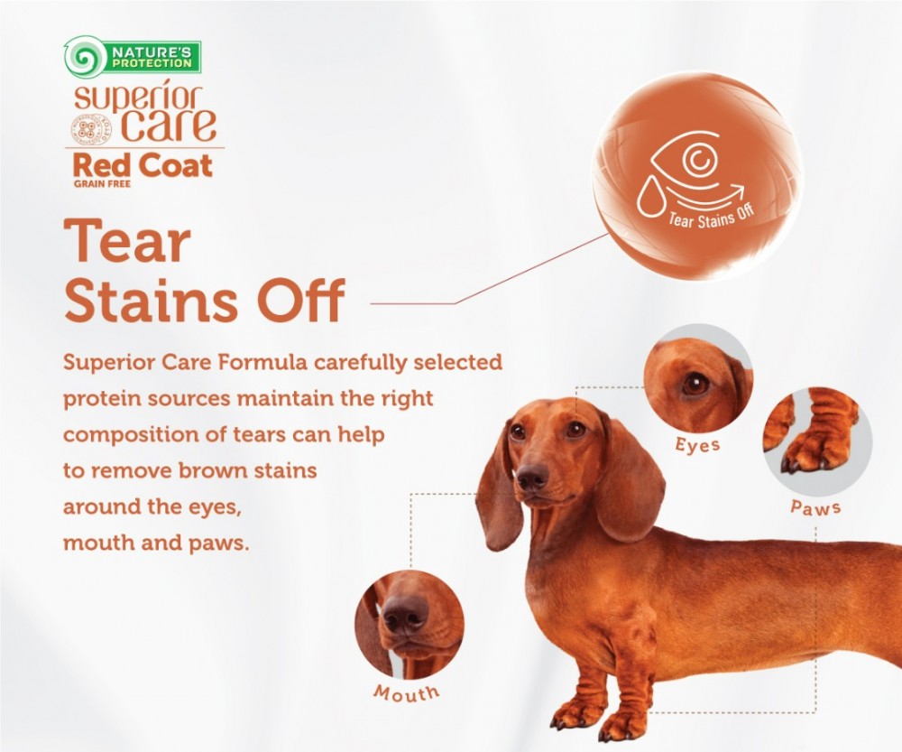 NATURE'S PROTECTION SUPERIOR CARE RED COAT SALMON & KRILL ADULT SMALL BREED 1.5KG DRY DOG FOOD image 4