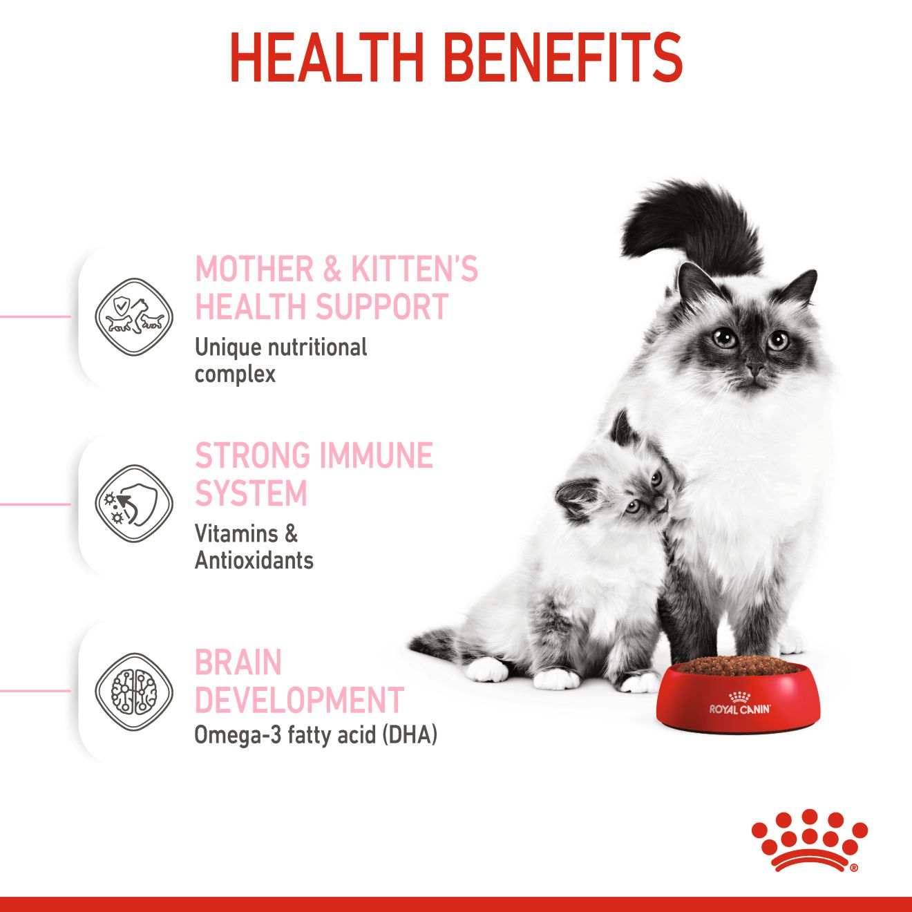 ROYAL CANIN MOTHER & BABYCAT 4KG DRY CAT FOOD image 4