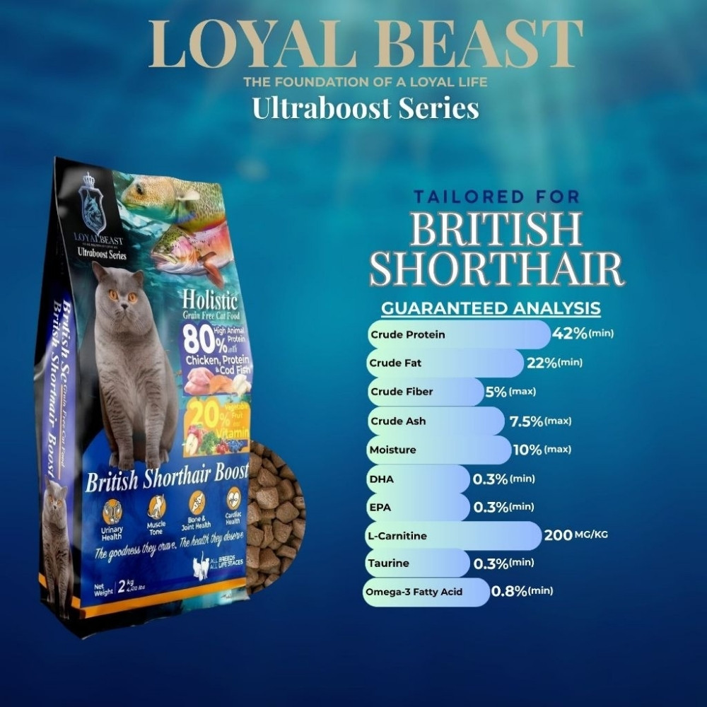LOYAL BEAST HOLISTIC GRAIN FREE 7KG BRITISH SHORTHAIR BOOST DRY CAT FOOD image 3