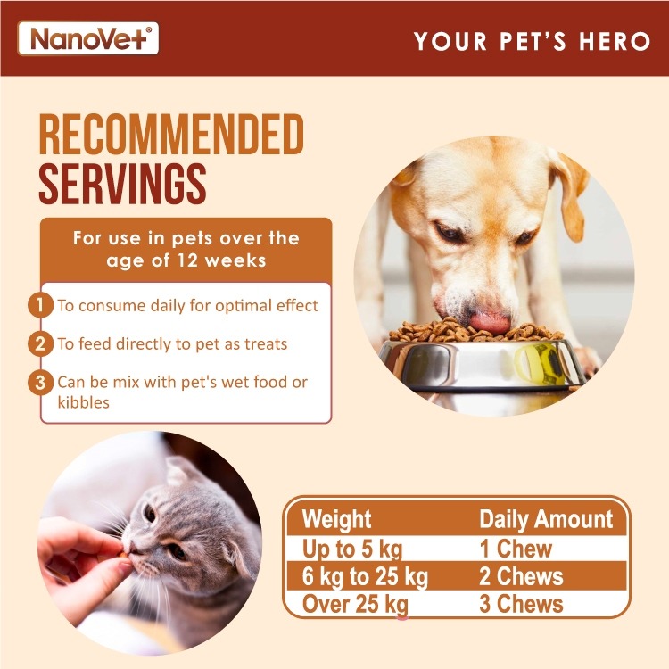 NANOVET PROBIOTIC CHEWS 120PCS image 2