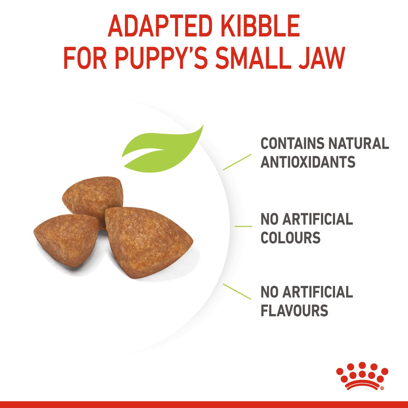 ROYAL CANIN XSMALL JUNIOR / PUPPY 1.5KG DRY DOG FOOD image 5