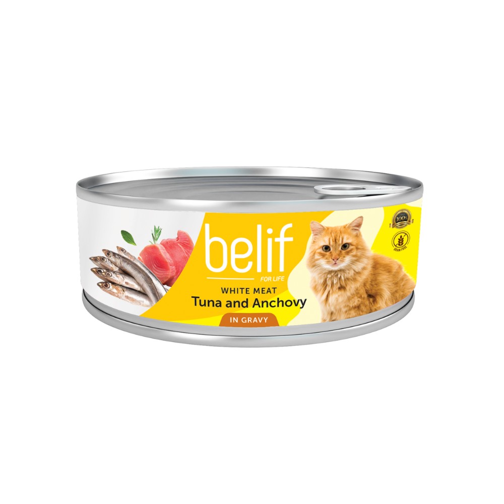 BELIF CAT 80G WET CAT FOOD IN GRAVY image 2