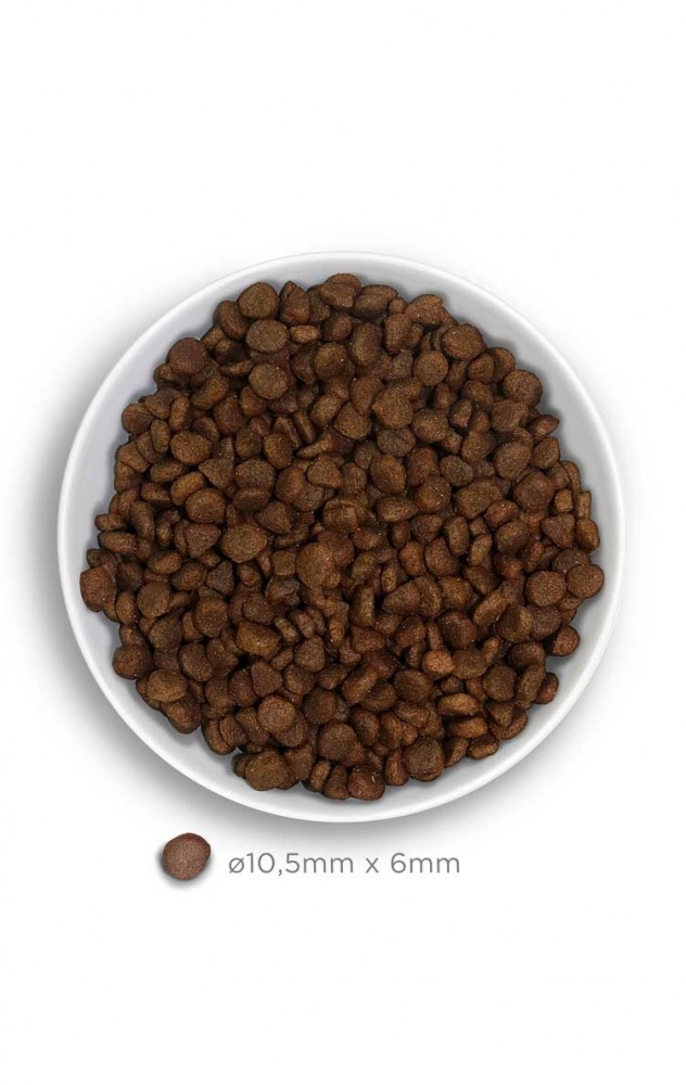 AMANOVA CAT 6KG ADULT TURKEY DELIGHT GRAIN FREE DRY CAT FOOD image 3