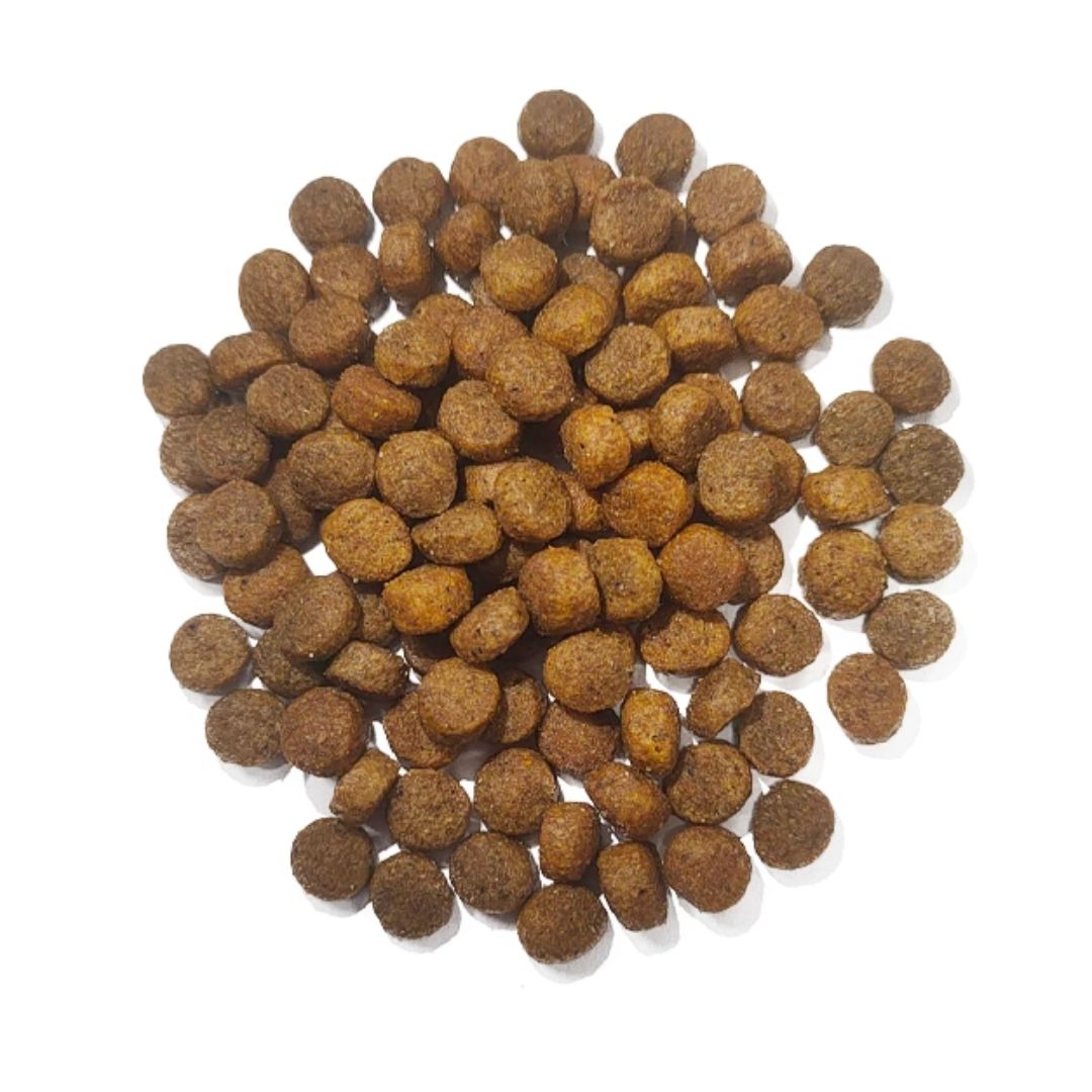SARAR CAT 2KG ADULT HAIR & SKIN SALMON & SHRIMP DRY CAT FOOD image 2