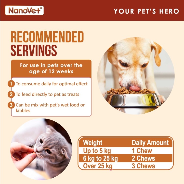 NANOVET FLEA & TICK CHEWS 45PCS image 6