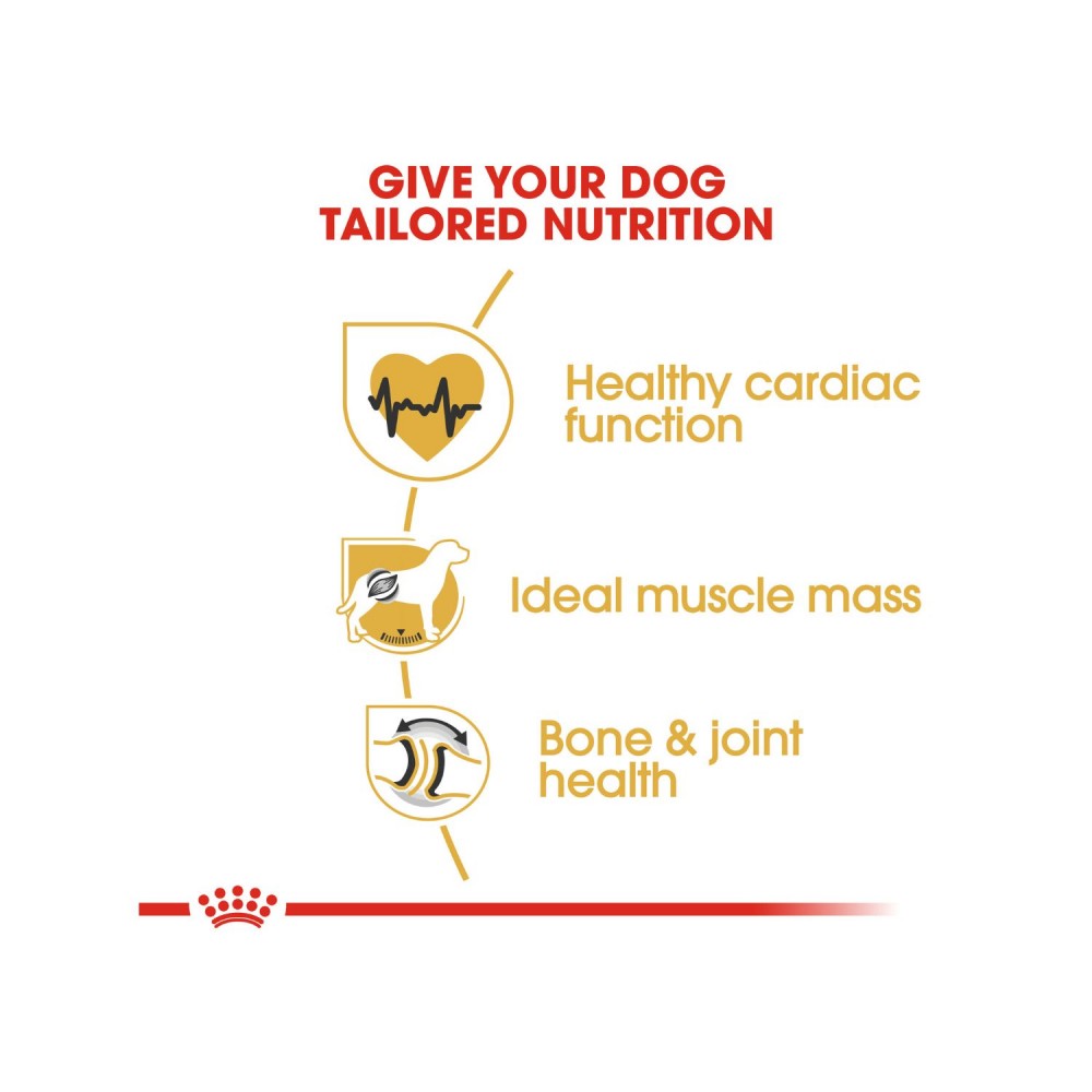 ROYAL CANIN ROTTWEILER ADULT 12KG DRY DOG FOOD image 3