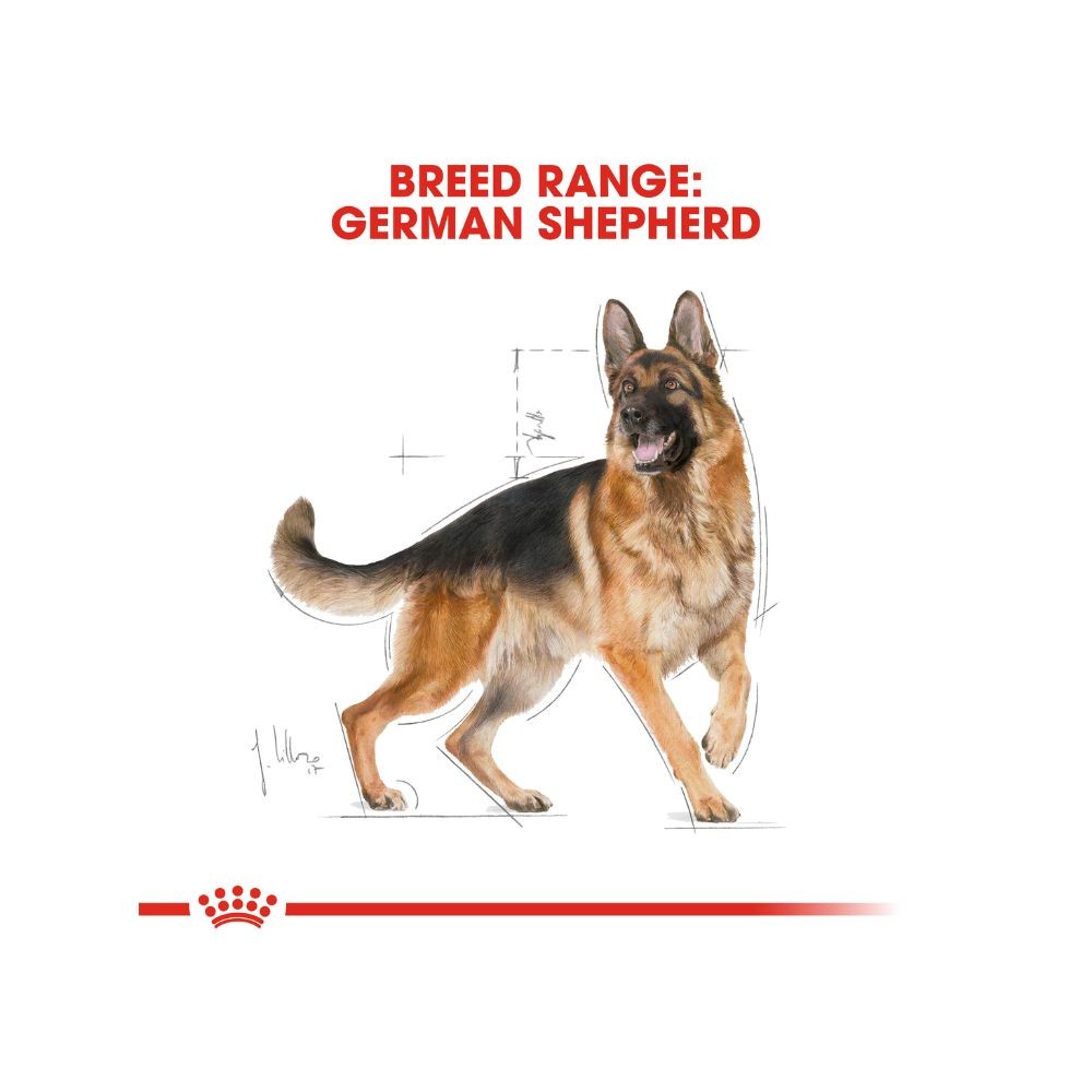 ROYAL CANIN GERMAN SHEPHERD ADULT 11KG DRY DOG FOOD image 5