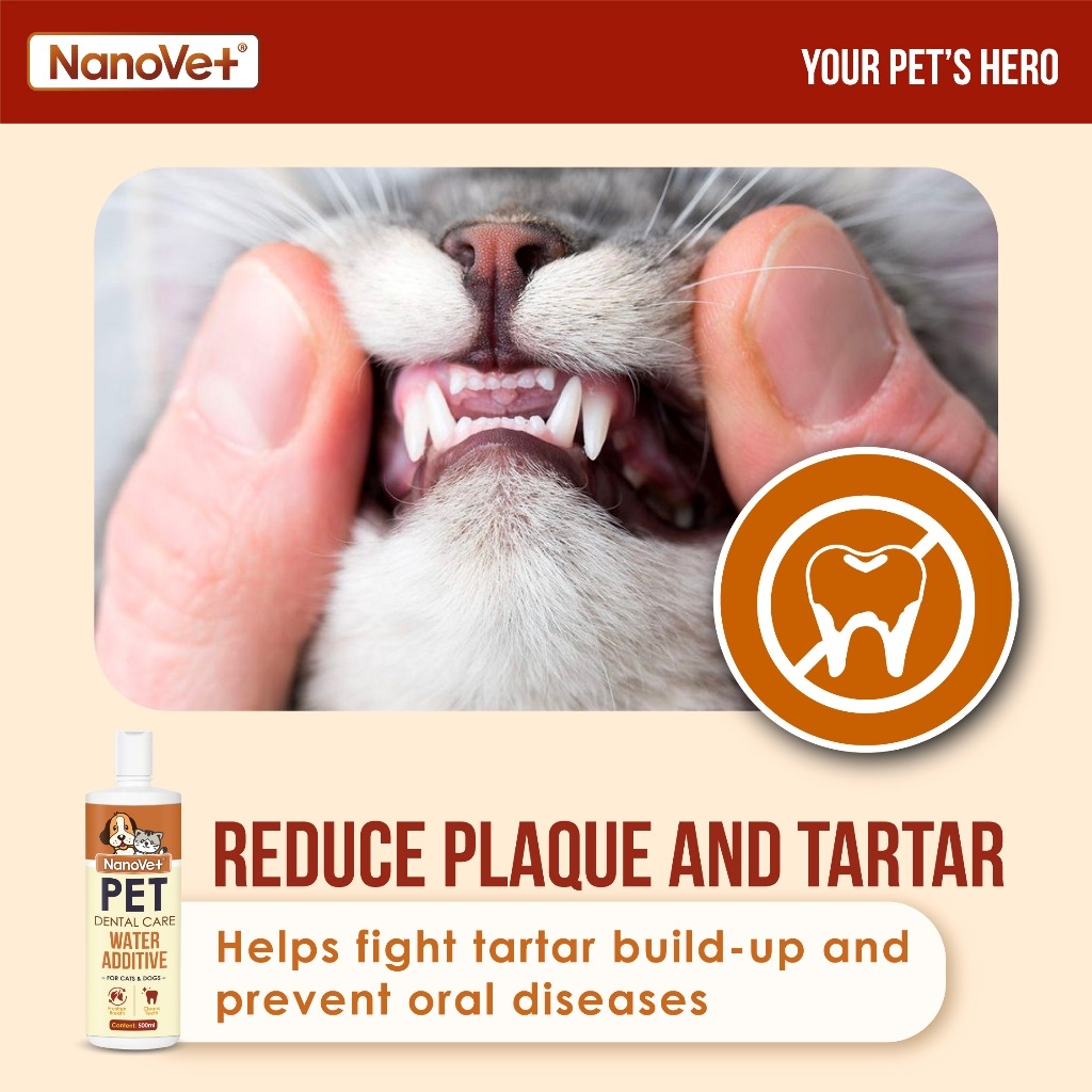 NANOVET DENTAL WATER ADDITIVE 500ML image 8