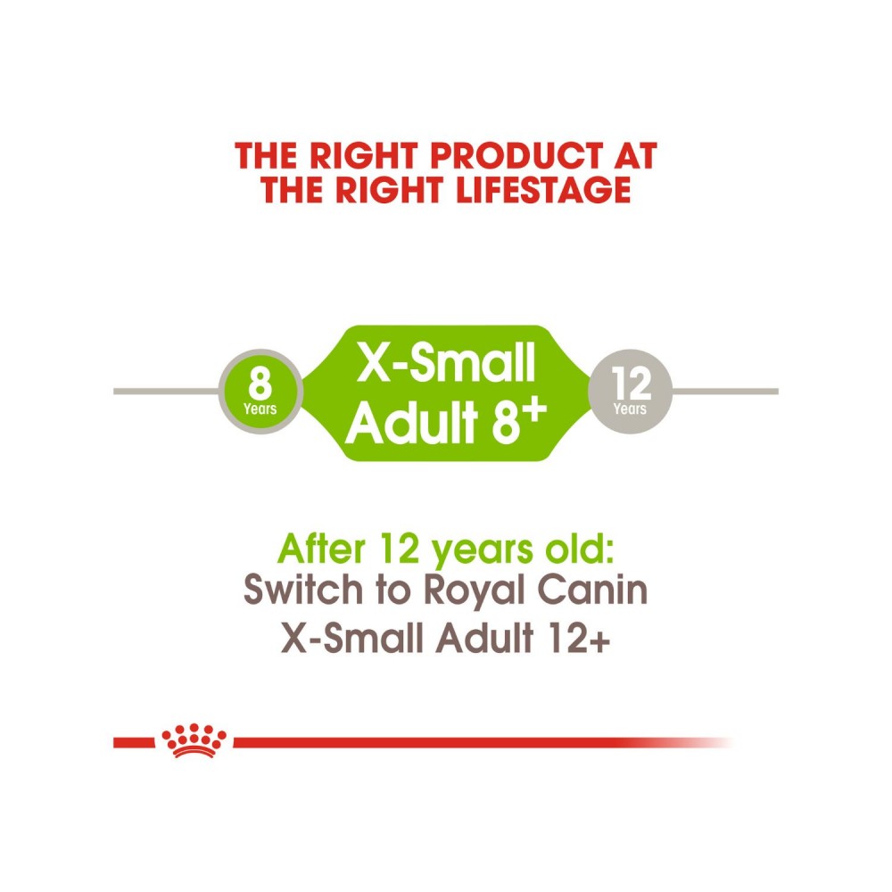 ROYAL CANIN XSMALL ADULT 8+ (1.5KG) DRY DOG FOOD image 5