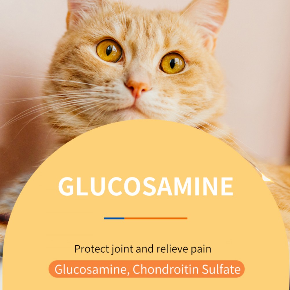 PUAINTA CHONDROITIN 0.5GX200TABLETS image 3
