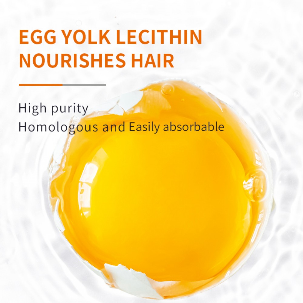 PUAINTA LECITHIN FOR DOGS 300G image 6