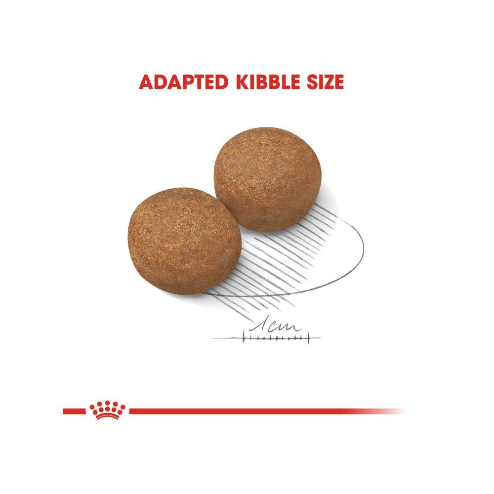 ROYAL CANIN MAXI ADULT 4KG DRY DOG FOOD image 3