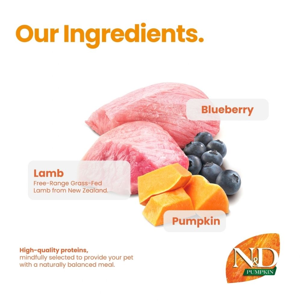 FARMINA N&D 2.5KG PUMPKIN LAMB & BLUEBERRY PUPPY MINI DRY DOG FOOD image 6