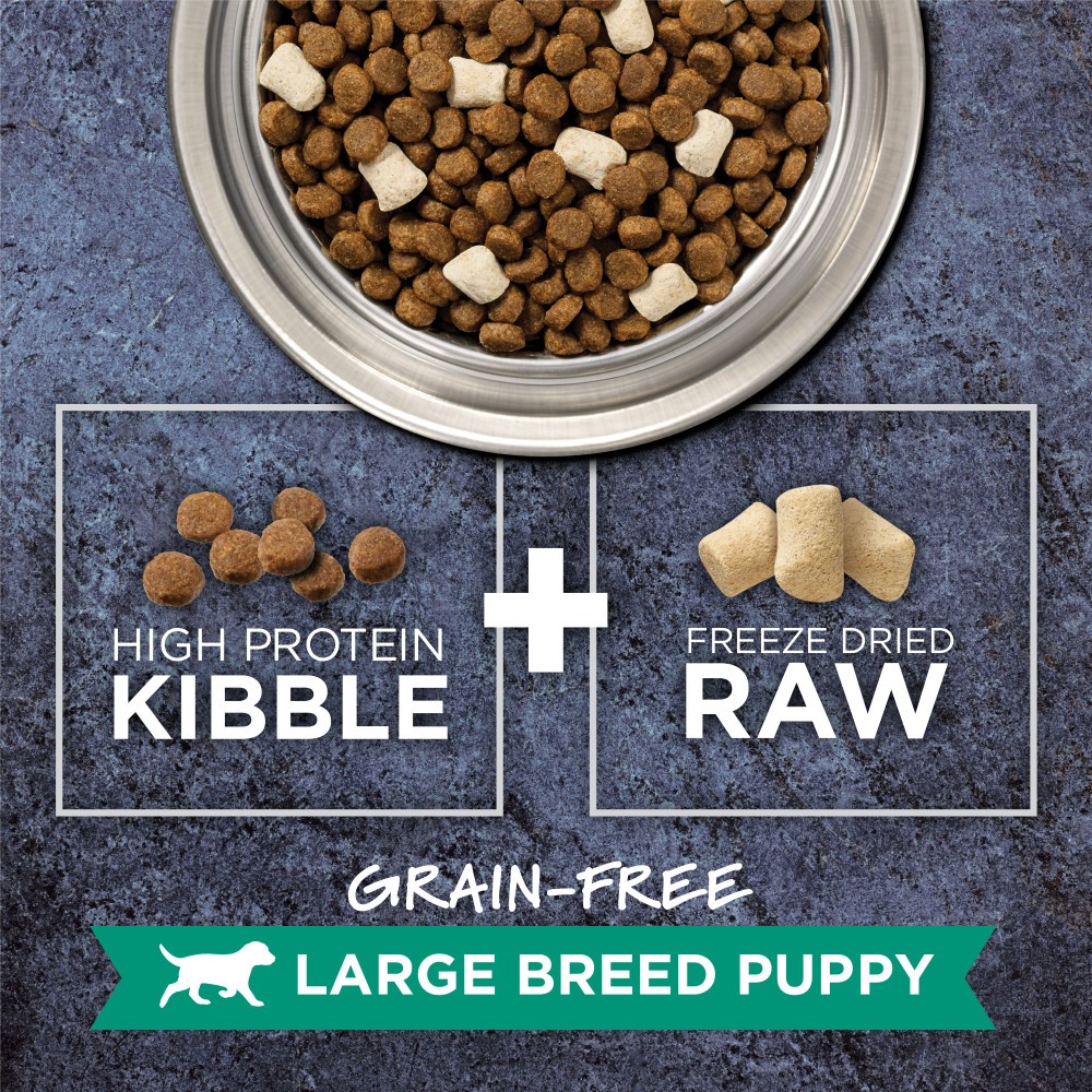 INSTINCT DOG RAW BOOST 9KG (20LB) LARGE BREED PUPPY GRAIN FREE RECIPE WITH REAL CHICKEN DRY DOG FOOD image 4