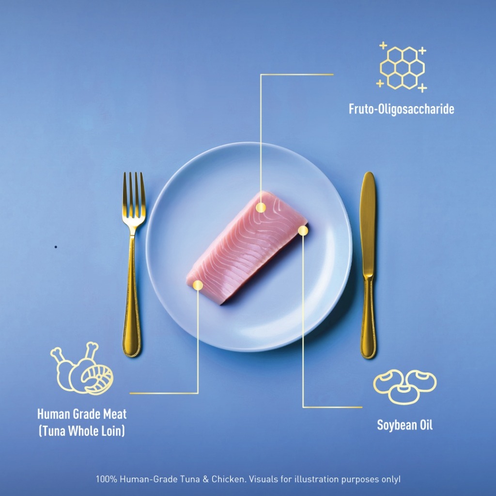 DELIZIOS 22G TUNA WHOLE LOIN FILETTO CAT SNACK image 2