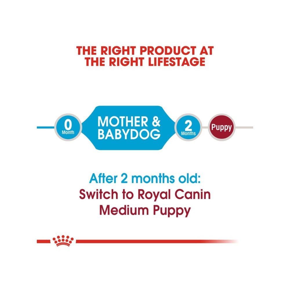 ROYAL CANIN MEDIUM STARTER MOTHER & BABYDOG 4KG DRY DOG FOOD image 4