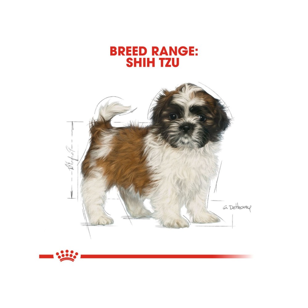 ROYAL CANIN SHIH TZU JUNIOR 1.5KG DRY DOG FOOD image 6